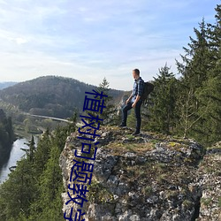 植(植)树(樹)问题教(教)学反思(思)