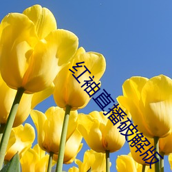 紅袖直播破解版