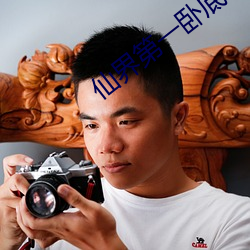 仙界第(第)一卧(臥)底