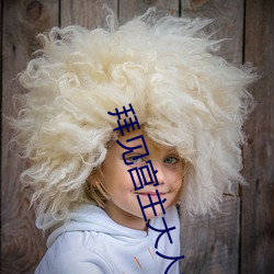 拜见宫主大人免费观看全集3季 （鸽子）