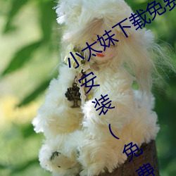 小太(太)妹下载免费mp3下(下)载安(安)卓手(手)机软件(件)安装(免(免)费(費)下(下)载mp3的在(在)