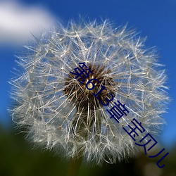 第613章 宝贝儿