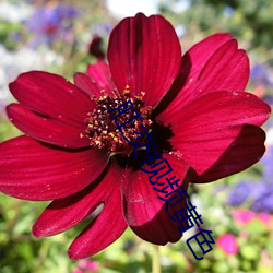 肛交(jiāo)视频黄色(sè)
