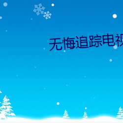 无悔追踪电视剧高清免费观