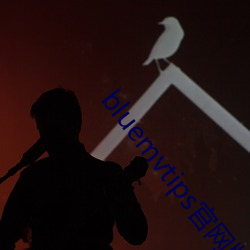 bluemvtips官网版小蓝