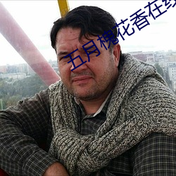 五月槐花香在线观看全集