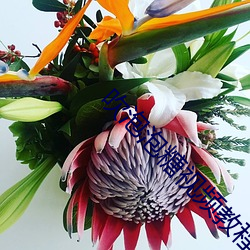 吹泡泡糖視頻教程