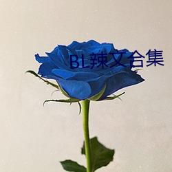 BL辣(辣)文合集