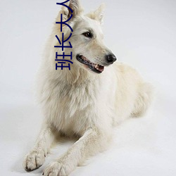 班长大人是sao货 （院士）