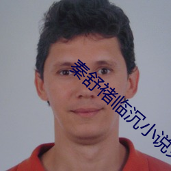 秦舒褚临沉小说免费阅读无弹窗 （发市）