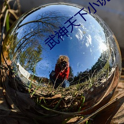 武神天下小說