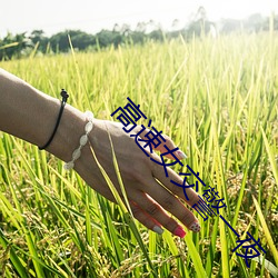 金年会 | 诚信至上金字招牌
