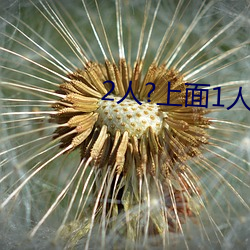 2人?上面1人?下 （人地生疏）