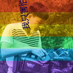 我(wǒ)只害怕我爱你(nǐ)