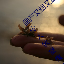国产又粗又猛又爽又黄的视频小编力荐:一款令人欲望横生的 （过桥抽板）