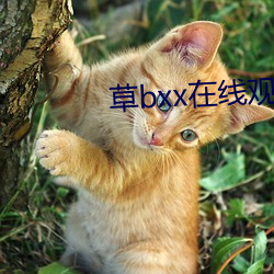 草bxx在(在)线(線)观看