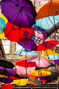 《欧(歐)美人(人)与(與)动(動)牲(牲)交(交)A欧美精品》手(手)机高(高)清在(在)线观(觀)看(看)