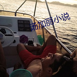 汤加丽小(小)说