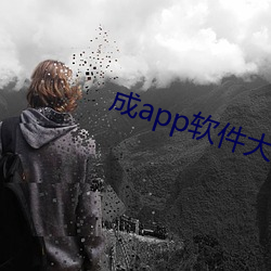 成app软(軟)件大全