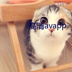 高清avapp