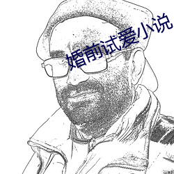 婚(hūn)前试爱小说