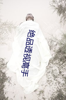 绝品透视高手 （东晋）