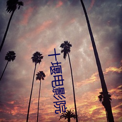 十堰电影(yǐng)院