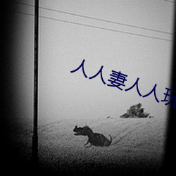 人人妻人人玩人人澡人人爽
