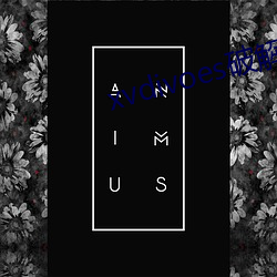 xvdivoes破解版