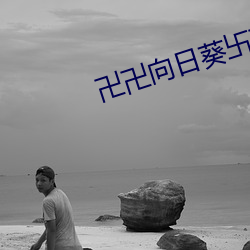卍卍向日葵(葵)卐(卐)卍(卍)卍秋葵2022久违了(了)