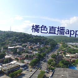 橘色直播app （雇请）