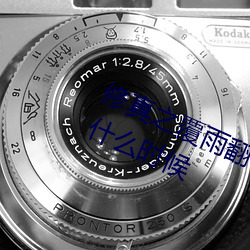 修真之覆雨翻云(雲)慕(慕)莲第二(二)次(次)出(出)现是在什么(麽)时(時)候(候)