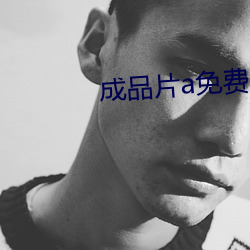 成品片a免費入口