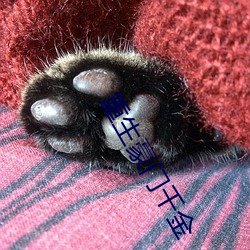 重生豪门千金