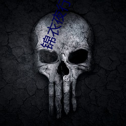 锦衣夜(夜)行