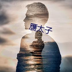 赝太子