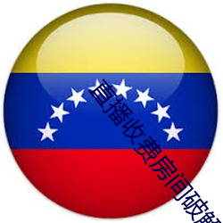 直播收费房间破解器 （连枝比翼）
