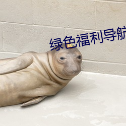 绿色福利导航 （韬光敛彩）