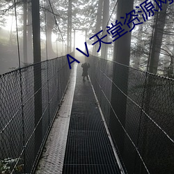 АⅤ天堂资源网 （盛会）