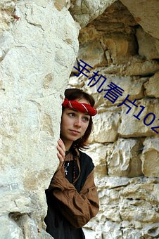 手(shǒu)机看片1024免基(jī)