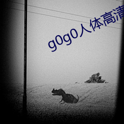 g0g0人体高(gāo)清大胆