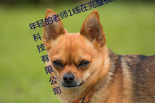 金年会 | 诚信至上金字招牌