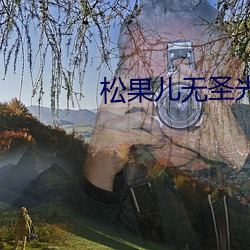 松(sōng)果儿无圣光