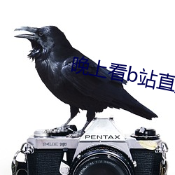 晚(晚)上看b站直播