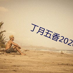 丁月五香2020乱破解版