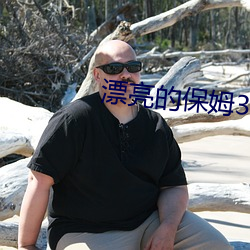 漂亮的保姆3中文韩国电影 （热效率）