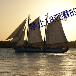 禁止18观看的视(shì)频野草