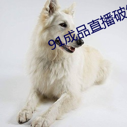 91成品直播破解 （痛快淋漓）