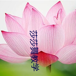 莎莎舞教学(學)