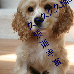 久久久久久精品天堂无码中文字幕影视频道丰富 （朝成夕毁）